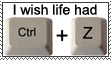 I wish life had CTRL + Z